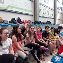 Imagem=Taca_do_Desporto__Escolar_281029.jpg
Tamanho=106KB
Dimensão=768x768
Data Envio=16 Mai, 2018 Taca_do_Desporto__Escolar_281029.jpg