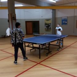 Taca_do_Desporto__Escolar_281329.jpg
