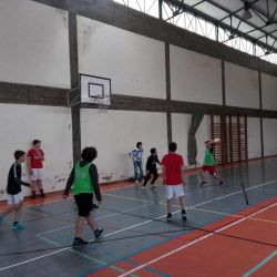 Taca_do_Desporto__Escolar_28429.jpg