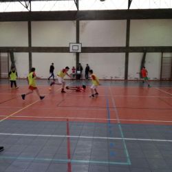 Taca_do_Desporto__Escolar_28829.jpg