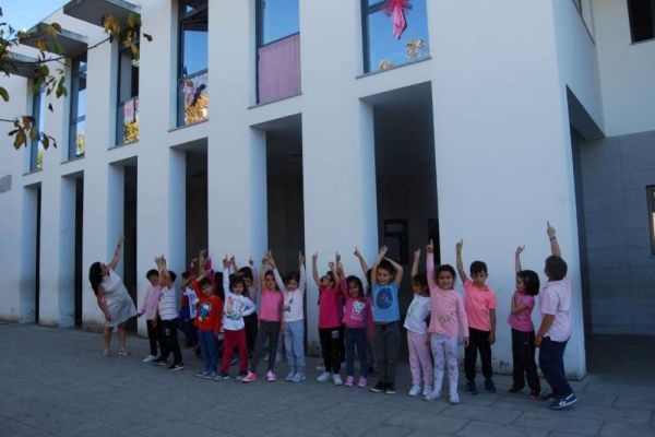 1711_onda_rosa05.jpg