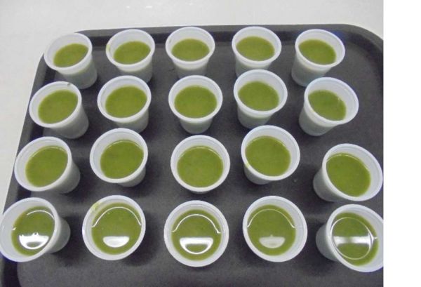 1711_semana_alimentacao01.jpg