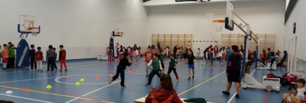 1712_street_basket_3x3_01.jpg