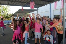 1711_onda_rosa02.jpg