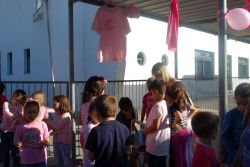 1711_onda_rosa07.jpg