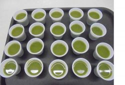 1711_semana_alimentacao01.jpg
