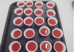 1711_semana_alimentacao02.jpg