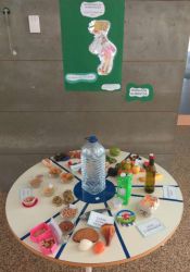 1711_semana_alimentacao05.jpg