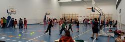 1712_street_basket_3x3_01.jpg