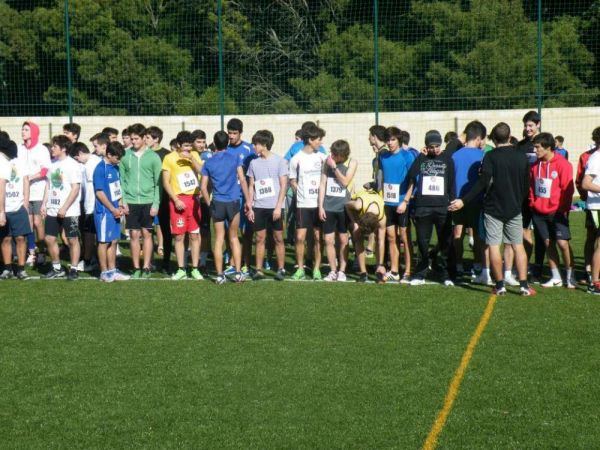 1402_corta_mato_caminha03.jpg