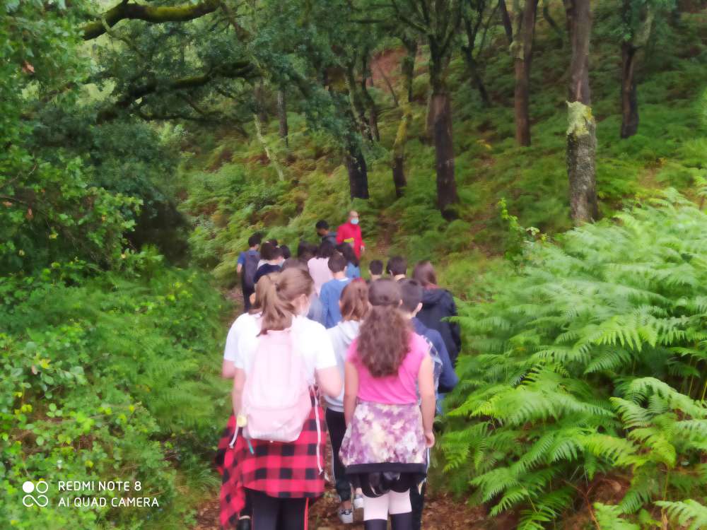 2106 educacao ambiental04