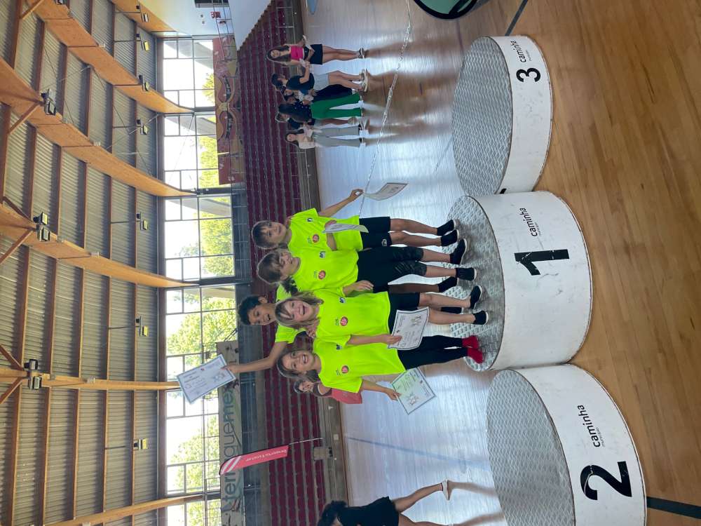 2205 ginastica trampolins crasto04