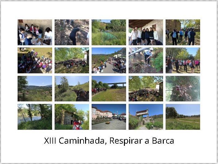 2205 xii caminhada respirar a barca