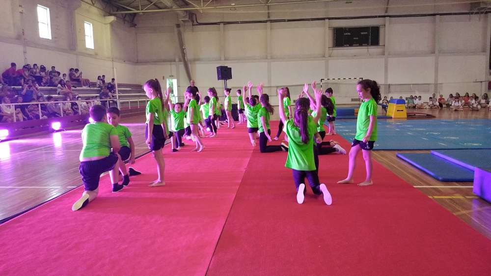 2206 sarau ginastica01
