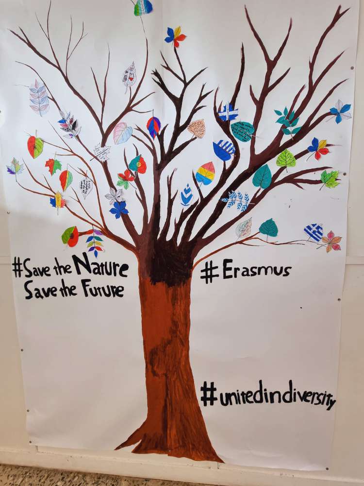 2210 erasmus chequia05