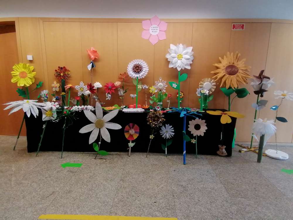 2211 crasto a maior flor do mundo01