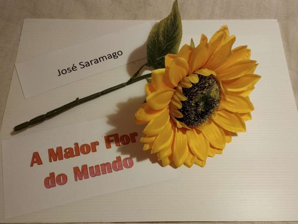 2211 saramago ee01
