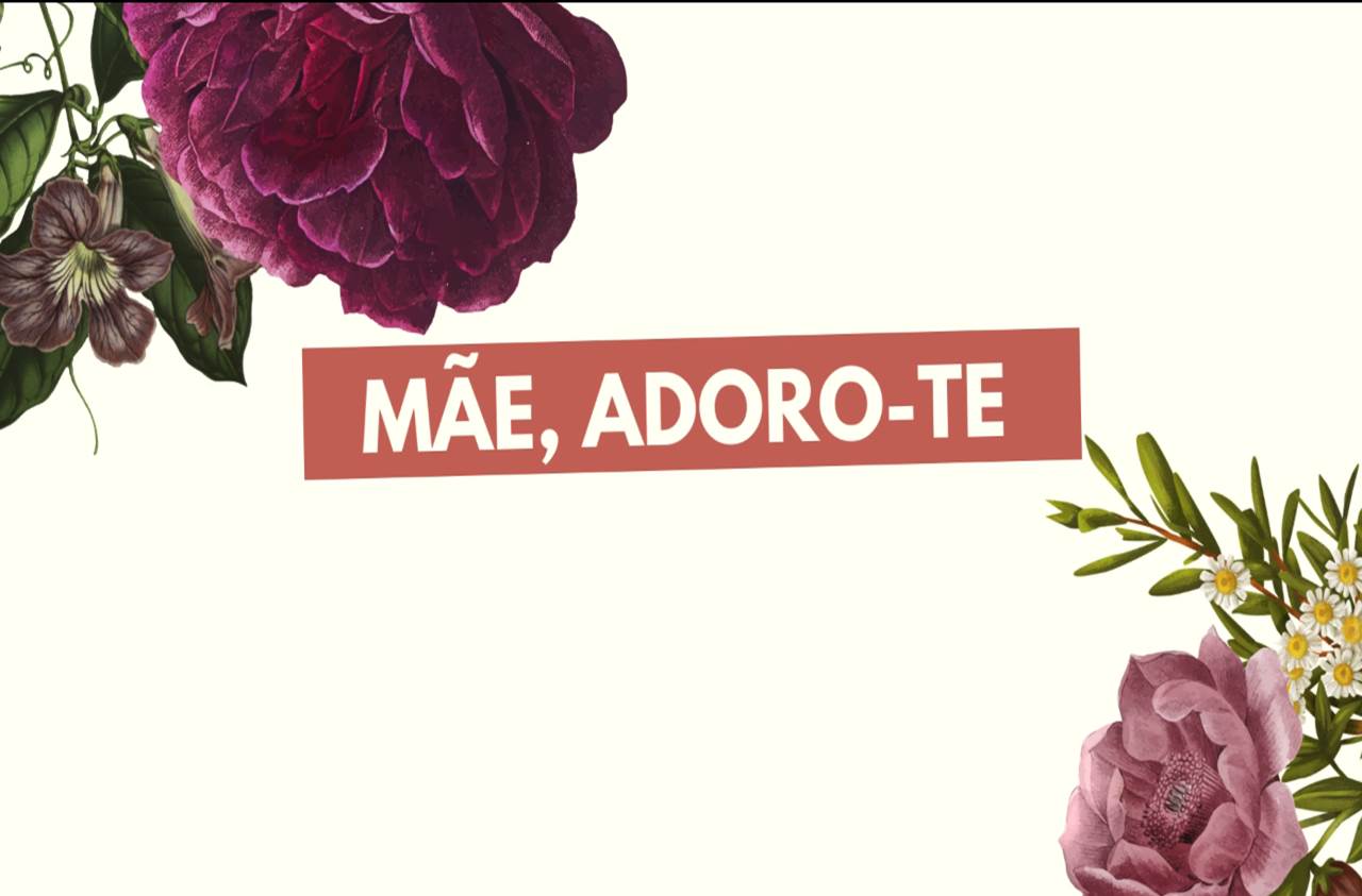 2405 dia da mae