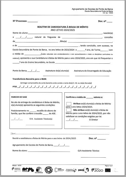 2406 candidatura bolsa merito02