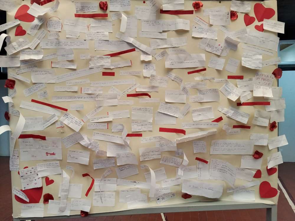 2602 cultivar o afeto02